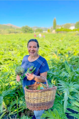 Organik Enginar Doğranmış Hazır Mezelik, Yemeklik, Salatalar için Kullanıma Hazır 660 cc